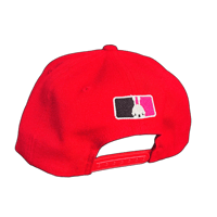 Image 3 of NT Snapback
