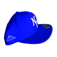 Image 2 of NT Snapback