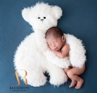 Bear prop