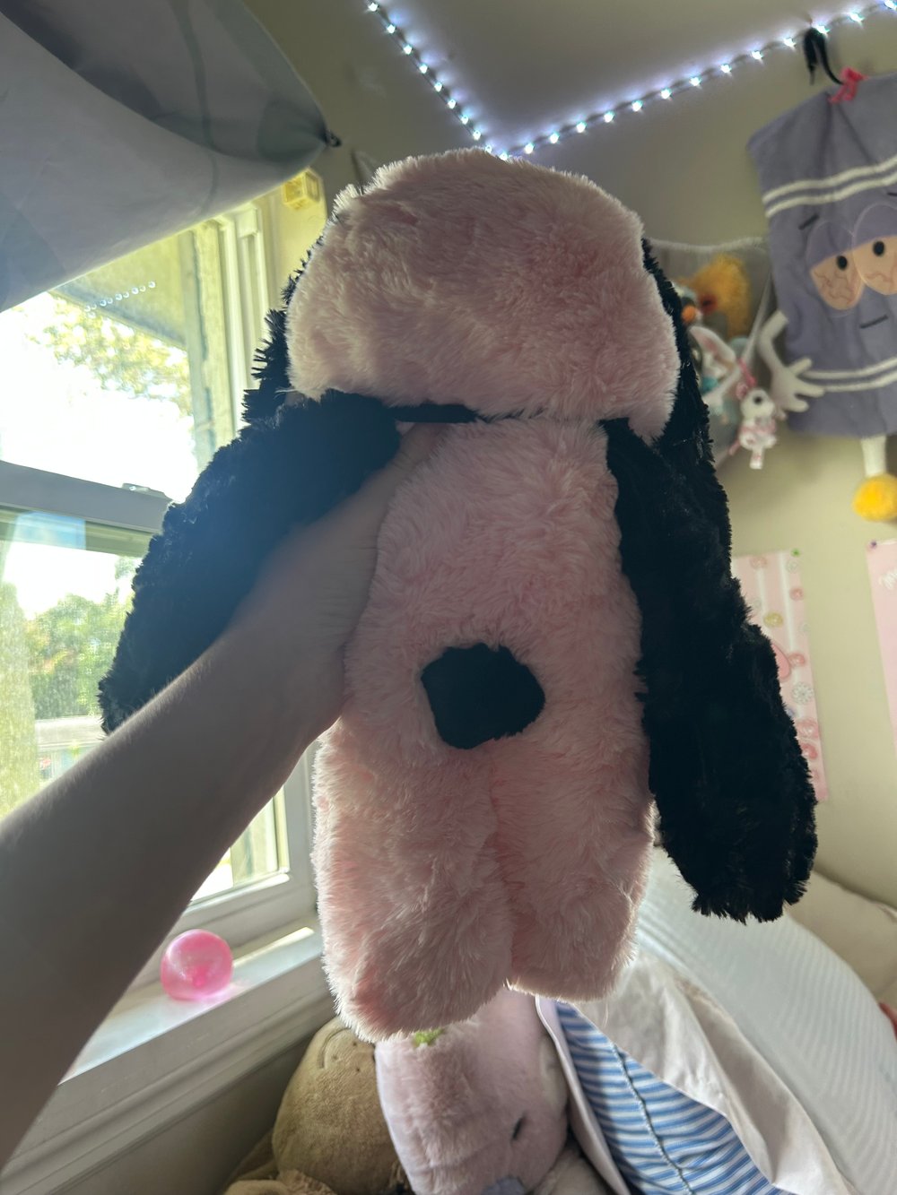 Image of belladonna the bunny 