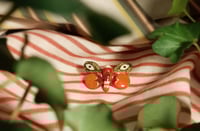 Image 3 of Eye moth pin
