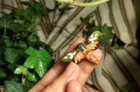 Image 4 of Spotted moth pin