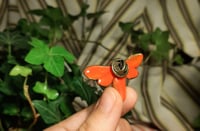 Image 3 of Spotted moth pin