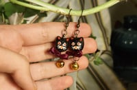 Image 4 of Black ribbon cats