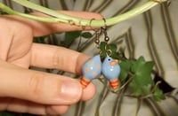 Image 1 of Blue fat rats