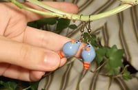 Image 4 of Blue fat rats