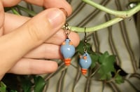 Image 5 of Blue fat rats