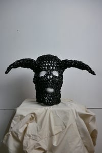 Image 1 of Plastic Face
