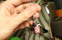 Image 5 of Juicebox charms