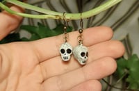 Image 2 of Skull earrings