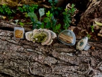 Image 5 of Owyhee Jasper Signet Ring Sterling Silver 