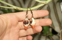 Image 4 of Brown-white fat rats