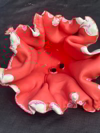 Image 7 of Brody