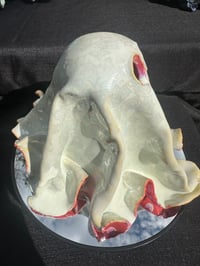 Image 17 of Brody