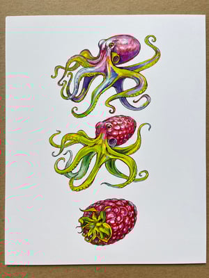 Image of Octo Raspberry Laserprint 8”x10”