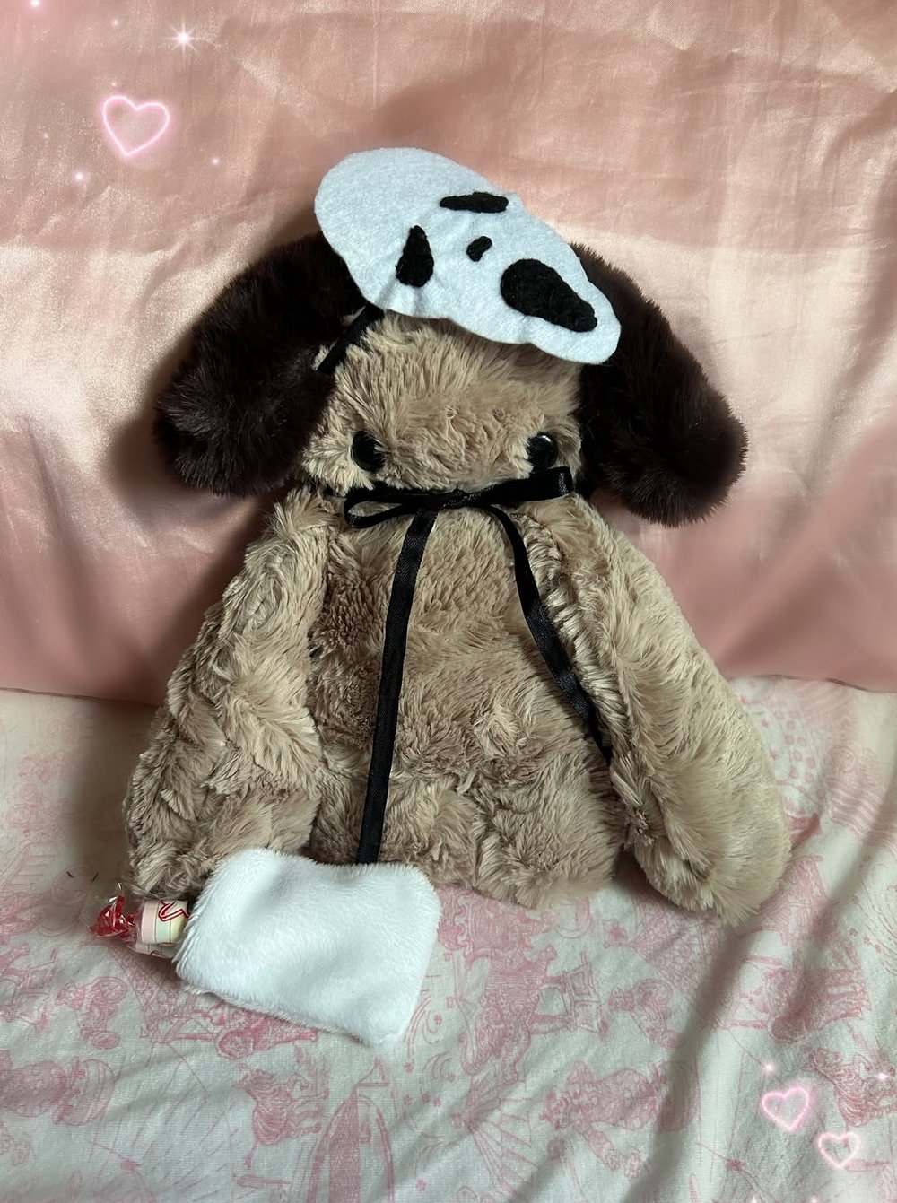Image of buddy the puppy!