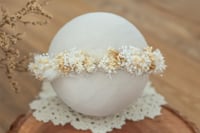 Newborn/Sitter Halo 68