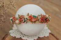 Newborn/Sitter Halo 70