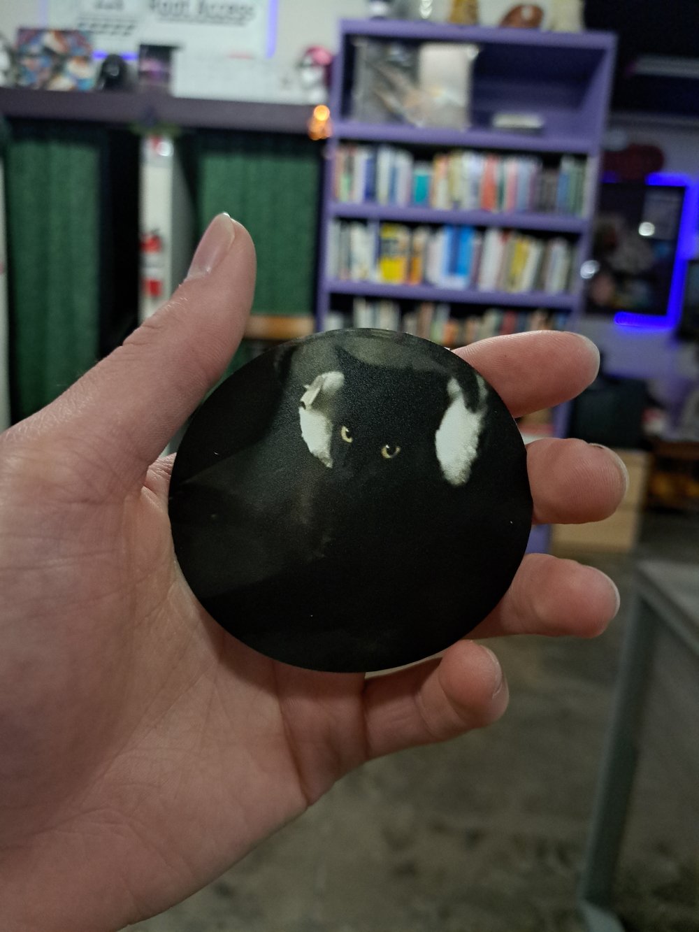 Image of My cat stickers!