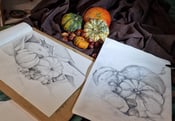 Image of Drawing In 