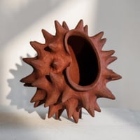Image 2 of Coquille rouge