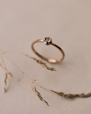 Image of 18ct Rose gold 3.0mm Rose-cut Champagne diamond horn texture ring (LON266)