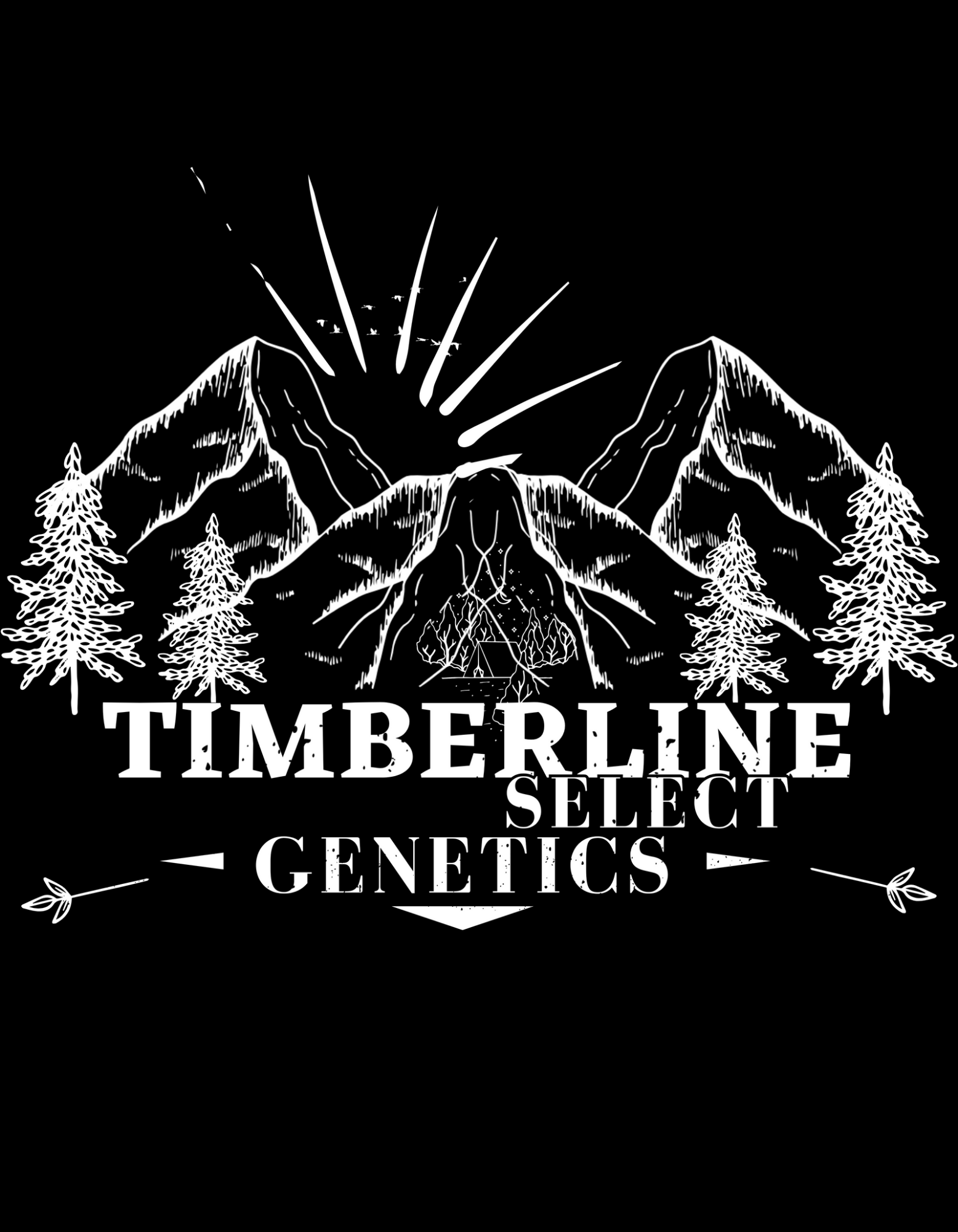 Timberline Hoodie #1 | Tree Line Seeds
