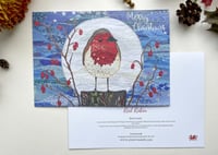 Merry Christmas Robin Cards