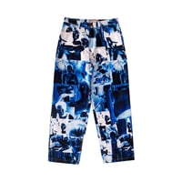 Image 1 of 1/1 SNAKE OF JUNE PANTS