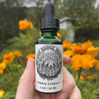 Ginseng + Reishi Tonic // 1 oz