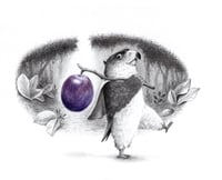 little eagle - original drawing