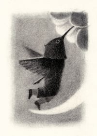 Image 2 of Honey - giclée mini print