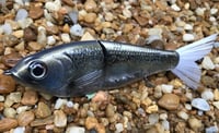 Image 3 of Custom Airbrushed 7 INCH Glide Bait 1120