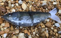 Image 4 of Custom Airbrushed 7 INCH Glide Bait 1120