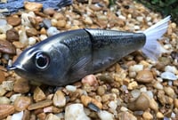 Image 5 of Custom Airbrushed 7 INCH Glide Bait 1120