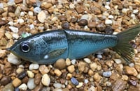 Image 3 of  Custom Airbrushed 7 INCH Glide Bait 4619