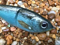 Image 6 of  Custom Airbrushed 7 INCH Glide Bait 4619