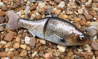 Image 4 of  Custom Airbrushed  6 INCH Glide Bait 6944