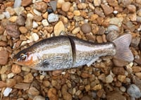 Image 8 of  Custom Airbrushed  6 INCH Glide Bait 6944