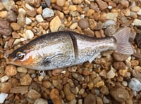 Image 9 of  Custom Airbrushed  6 INCH Glide Bait 6944