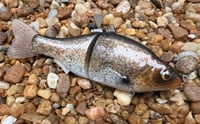 Image 13 of  Custom Airbrushed  6 INCH Glide Bait 6944