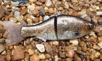 Image 14 of  Custom Airbrushed  6 INCH Glide Bait 6944
