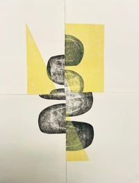 contingent ecologies