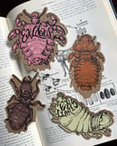 Image 1 of Book Lice - Ex Libris Bookplate Stickers