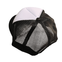 Image 4 of Archetype417