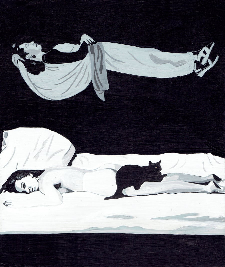 Image of DAYDREAMING IN ILLINOIS