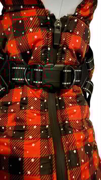 Image 3 of The Trailblazer