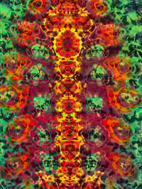 Image 4 of XL Green/Orange kenney