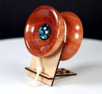 Image 2 of Exotic Australian Ironbark Eucalyptus yo-yo, #2025-234