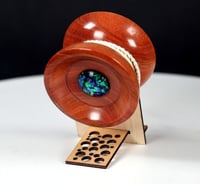 Image 4 of Exotic Australian Ironbark Eucalyptus yo-yo, #2025-234